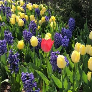 Meet your Posher, Lara